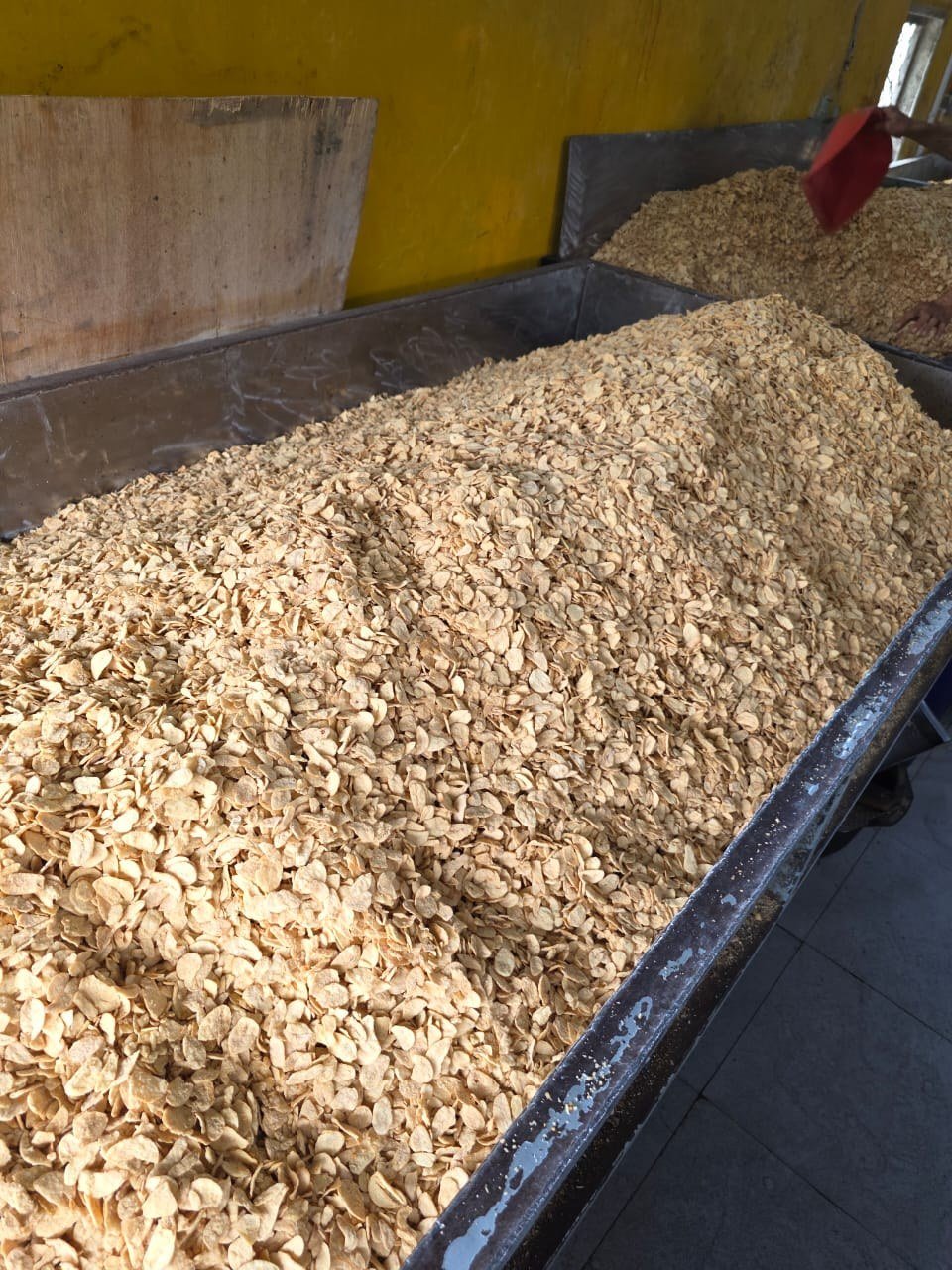 Tumpukan bawang putih goreng dalam bak produksi